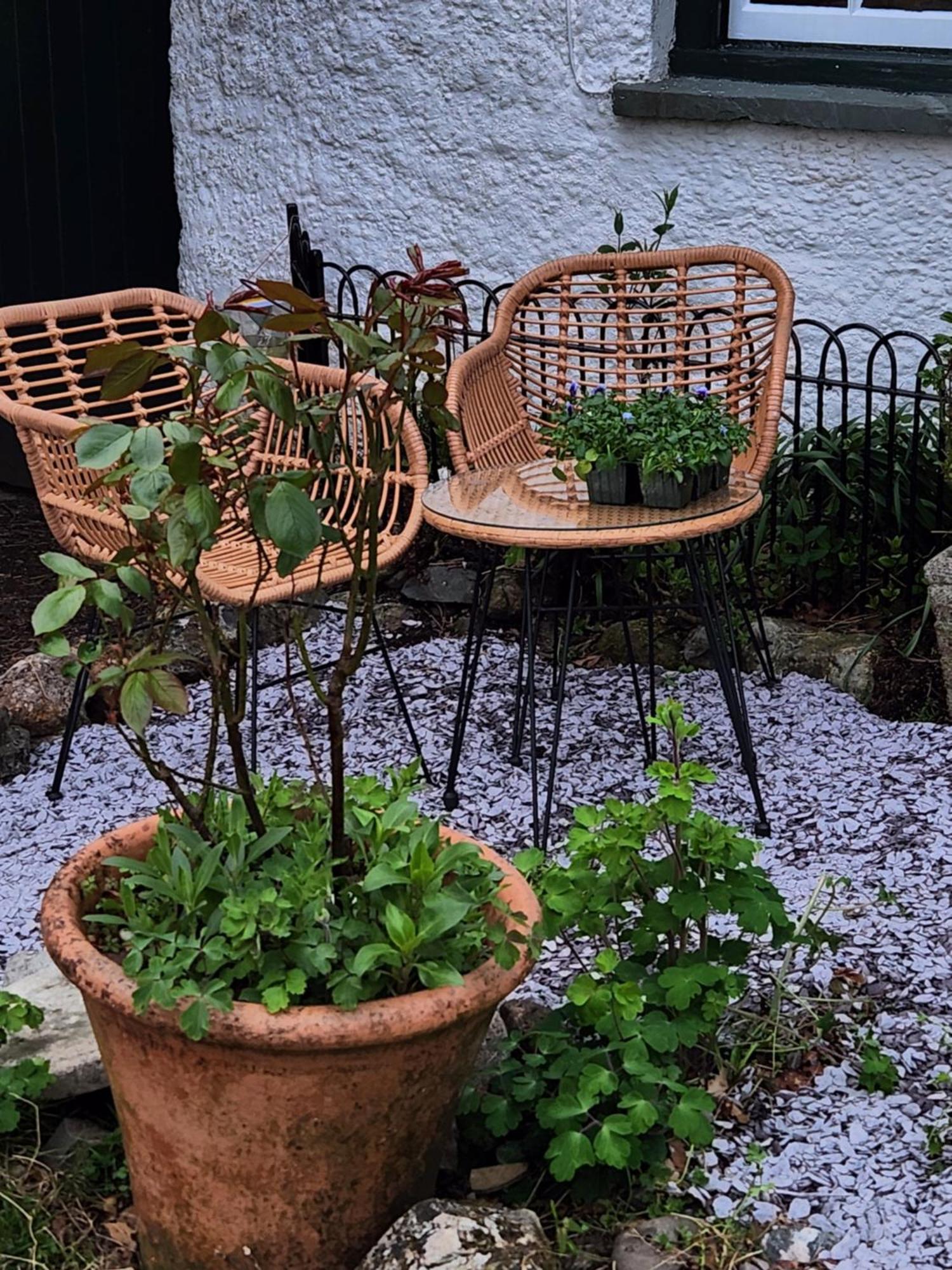 Blea Tarn Farmhouse B&B Ambleside Eksteriør billede